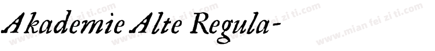 Akademie Alte Regula字体转换